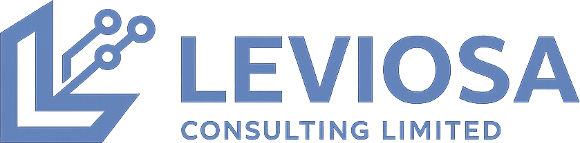 LEVIOSA Consulting logo